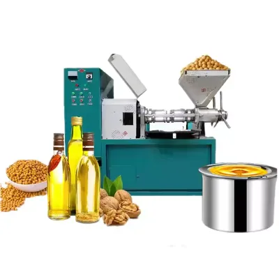 Commercial Sunflowers & Palm Oil Press Machine Cold Press Extractor for Home Use
