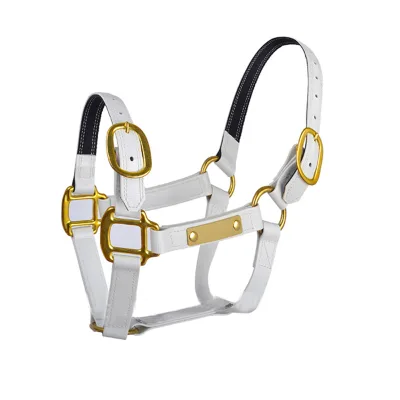 Customized Horse Products Waterproof Designer PVC Horse Headstall PVC Horse Halter
