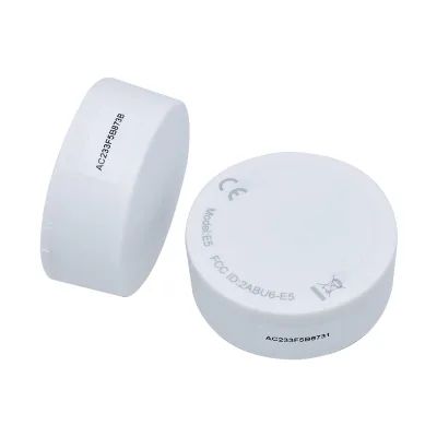 BT Low-power Localization Beacon Ble Ibeacon 100m Distance E5 Rotation Ibeacon Module