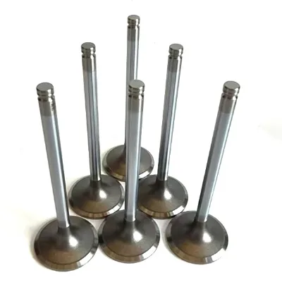 6pcs Inside for for Cummins 6CT Engine cylinder block Exhaust Valve C3921444