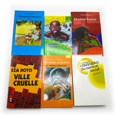High Quality Book Printing Service Softcover Business Books Custom Full Color Africa Novel Book