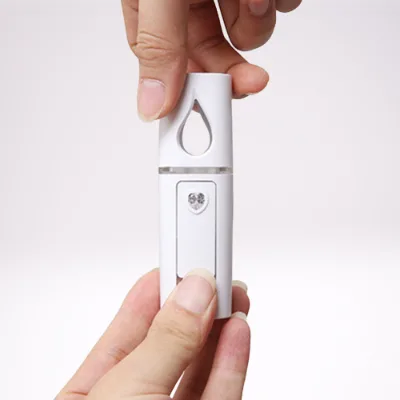 Summer Cooling Water Supply Face Steamer Mist Sprayers Mini Portable Facial Mist Sprayer Nano Sprayer for Home
