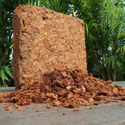 California Arizona Florida Texas Ohio Utah New York Bulk USA 5KG Compressed Coco Coir Coconut Husk Chip