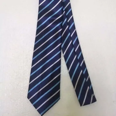 High Quality Custom Woven Polyester/Silk Blend Necktie Men Striped Pattern Eco-Friendly Jacquard Weave Business Use Snapback 4