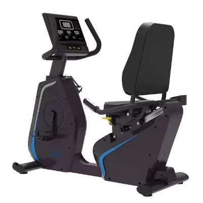 1503 Recumbent Bike