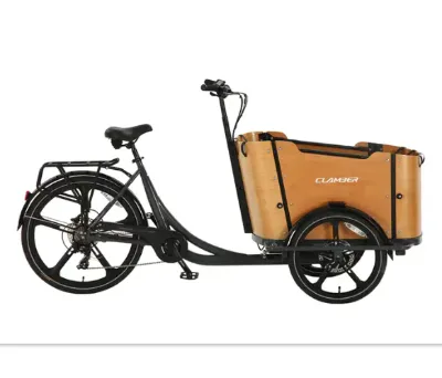 Bakfiets/electric Cargo Bike 250W Middle Motor/hub Motor 14.5Ah Battery
