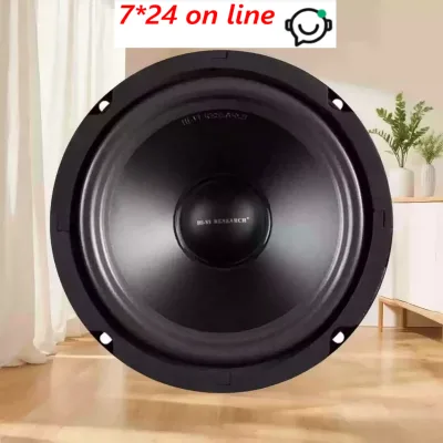 HW011 SS65R 65 Inch HiFi Speaker Driver for DIY Audio Factory Clearance