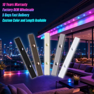 Custom 300ft 400ft 500ft Rgbw 3 Led Track Point Lights 12V 24V 36V 30mm Ip68 Outdoor Permanent Christmas Decoration Lighting
