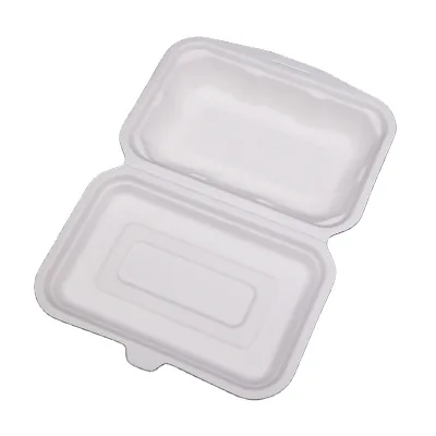 Disposable Takeaway Kids Lunch Versatile Catering Board Cake Snack Box Packaging Transparent Lid Breakfast Dessert Bento Box