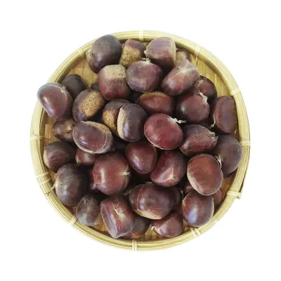 Shenli Organic Grade a Hebei Chestnuts Raw Low Price Per Kg-for Roasting