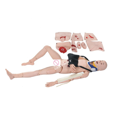 Closed Fractures Fixation Training Manikin Limbs Wound Care Teaching Mannequin Nursing Dummy