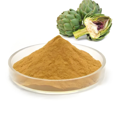 Bulk Cynara Scolymus Extract Natural Artichoke Leaf Extract Powder Artichoke Powder
