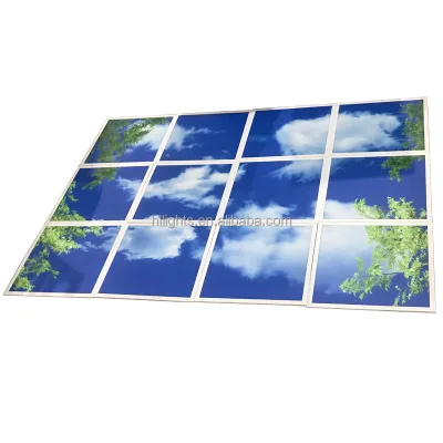 Blue Sky Cloud  Commercial Led Panel Light 2*2 FT Edge-lit 600*600mm Hall Hospital Sanatorium