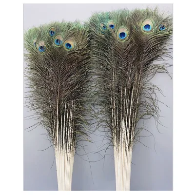 Hot Selling Factory Supplying 120-130cm Big Eye Long Peacock Tail Feathers for Sale Cheap