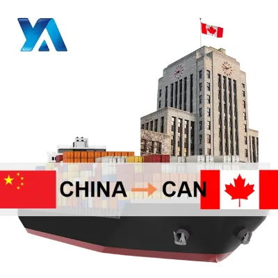Shipping Agent From China to FR China Freight Forwarder Freight Forwarder China to FR Forwarders Shipping to CA