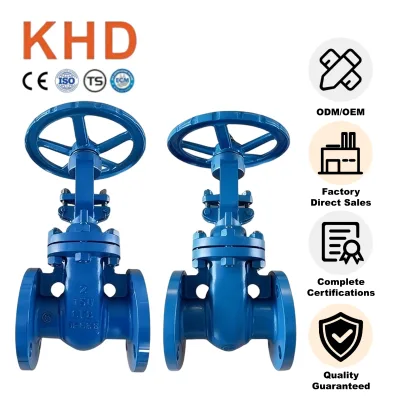 Manufacturers Flanged Gate Valve CF8 Stem Flanged Resilient Ductile Iron Gate Valves