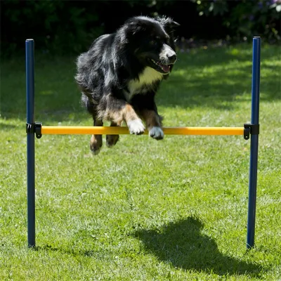Dog Agility Weave Poles High Grade Adjustable Agility Weave Pole Set Dog Agility Equipment Set