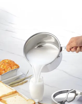 Stainless Steel Multifunctional Stockpot,small Soup Pot,baby Food Pot with Lid,milk Pot,suitable for Gasandinduction Cooktops