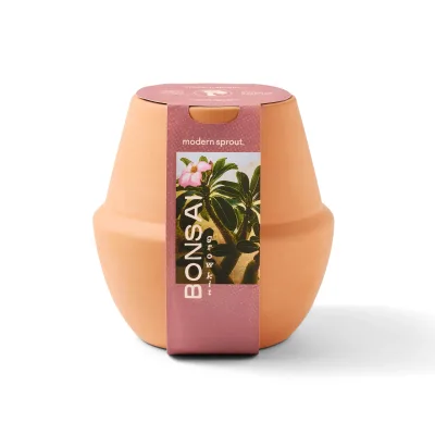 Modern Japandi Style Terracotta Bonsai Grow Kits Eco-Friendly for Indoor Outdoor Planting for Home Gardens Rooms Shopping Malls