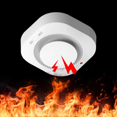 Independent Smoke Alarm Fire Protection Smokehouse Home Security System Smoke Detector