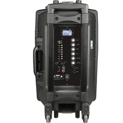 Wireless PA Amplifier System with Movable Speaker for Karaoke Singing