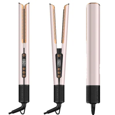 High Speed Hair Straightener 2 in 1 Cool Air Hair Styler Straightening and Drying 1500W Bldc Wet to Dry Hair Straightener