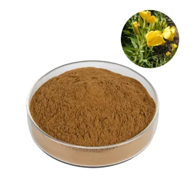 Factory Supply High Quality Oenothera Biennis Evening Primrose Flower Extract Wholesale Price