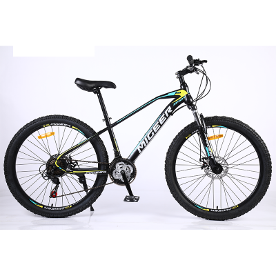 2019 New Model Fashion Color Mountain Bike/bicycle/cycling
