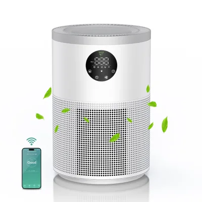 China OEM&ODM Smart Tuya Control Household Air Purifier with True Hepa Filter