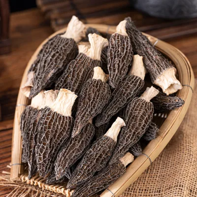 100% Natural Dried Morchella Wholesale Bulk High Quality Morel Mushrooms for Cooking