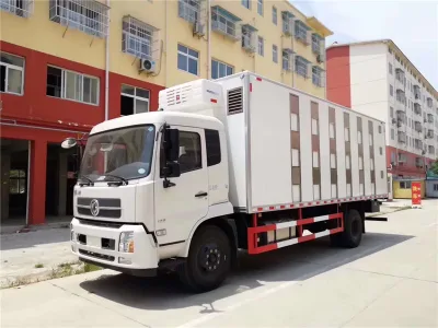 Poultry Livestock Transportation Chick Duckling Piglet Young Baby Constant Temperature Lorry Truck
