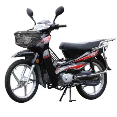 SHUNYANG TaiBenTian Model 100-200CC Brushless Motor Fuel Motorcycle >80km/h Max Speed 2.50-17/2.75-17 Tires Hebei Origin