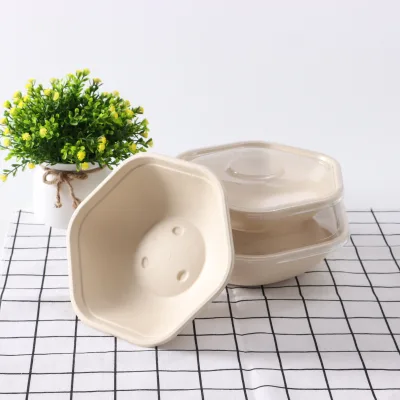 Wholesale Customized Printing Logo Large Capacity Paper Pulp Packaging Box Creative Hexagon Salad Bento Packaging Boxes
