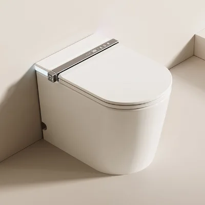 Instant Heating Smart Bidet Toilet  Eco-Friendly Warm Water Wash