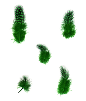 Wholesale Guinea Feathers Plumage Cheap Guinea feather