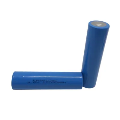 RAMWAY 3.6v CC Size Primary Batteries ER261020 17000mAh Non-rechargeable Disposable Battery for LORA IOT WIRELESS