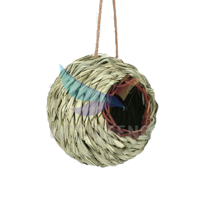 Buy and Sell Swallow Bird Nests Bird House