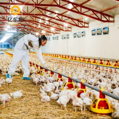 Farming House Prefab Poultry Cow China Supplier Breeding Light Steel Structure Shed Farms