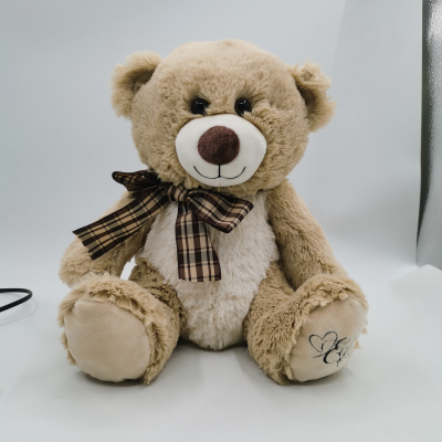 Lovely 25cm Sitting Size Good Quality Recording Teddy Bear with Zipper Pocket