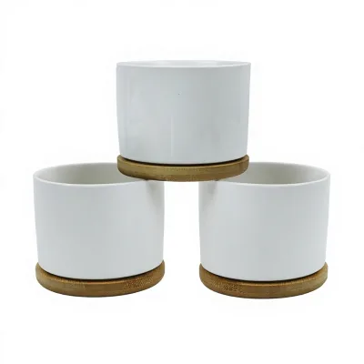 Ceramic White Porcelain Flowerpot Sublimation Blank Small Flower Pot for Succulent Plant Coating Desktop Deco For DIY Photo Logo