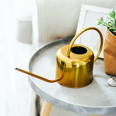 Wholesale Eco-Friendly Stainless Steel 1L Customized Color Water Can Planter Garden Custom Watering Can