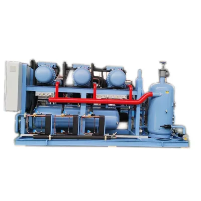 Large Logistics Cold Storage Room Walking Freezing Equipment Automatic Cold Room Storage Refrigeration Condenser Unit