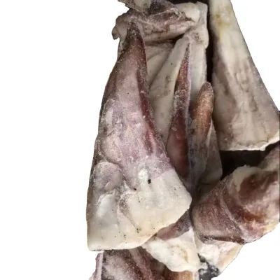 Processed Frozen Seafood Giant Squid Tails Raw Squid Tails