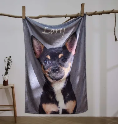 OEM Custom Photo Pet Dog Print Flannel Fleece Baby Blanket Wearable Polyester Knitted Technique Winter Minimum Order 50 Pcs Home