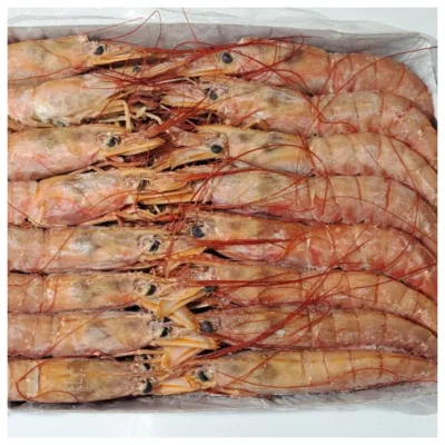 Good Price High Quality Frozen Red Shrimp HOSO in a SALE