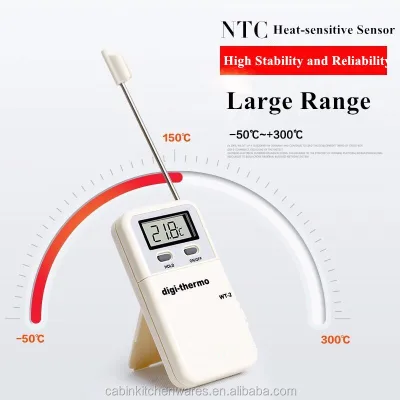 Digital Multi Function Cooking Food Thermometer WT-2