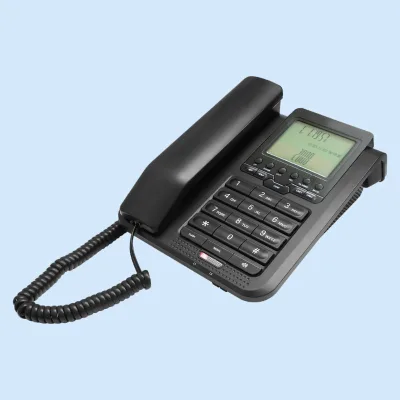10 Group Two-touch Memories Display 14 Digits for Incoming Calls Caller ID 2 Lines Land Phone Telephone