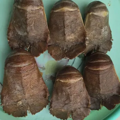 High Quality Good Price Frozen Slipper Lobster