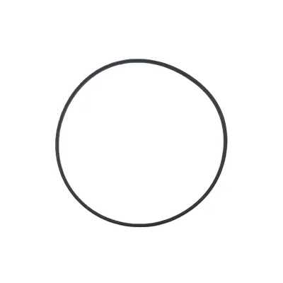 High Quality Truck Parts Truck Engine System Spare Parts 3907177  Black Seal Ring for Cummins (6L) Engine