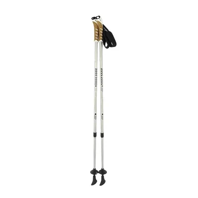 New Design Factory Customized Outdoor Alpine Ski Poles 6061 Aluminum Extendable Telescopic Pole